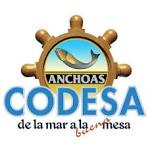 Logo Codesa
